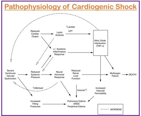 Shock Pathophysiology 的图像结果