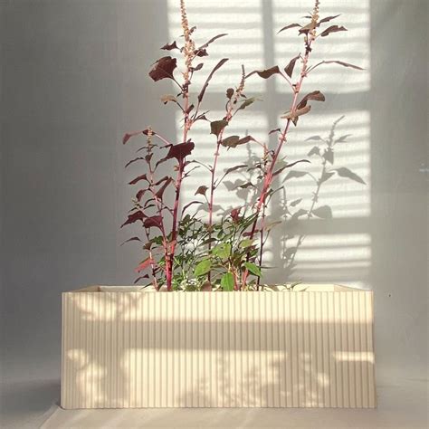 Buy Midori Planter Box - Nude Pink | Popyuli