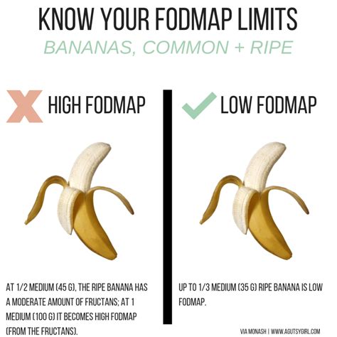 Are Bananas Low Fodmap