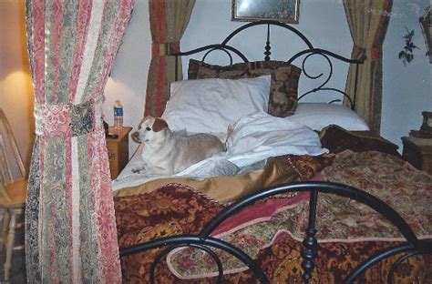 THE INN AT RESTFUL PAWS (Holland) - B&B Reviews & Photos - Tripadvisor