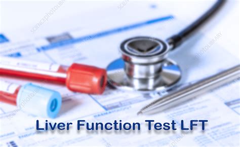 Image result for Liver Function Test Diagram