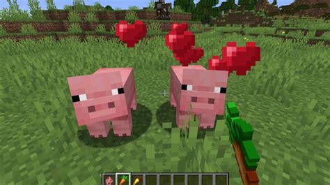 Image result for Minecraft Breeding Guide