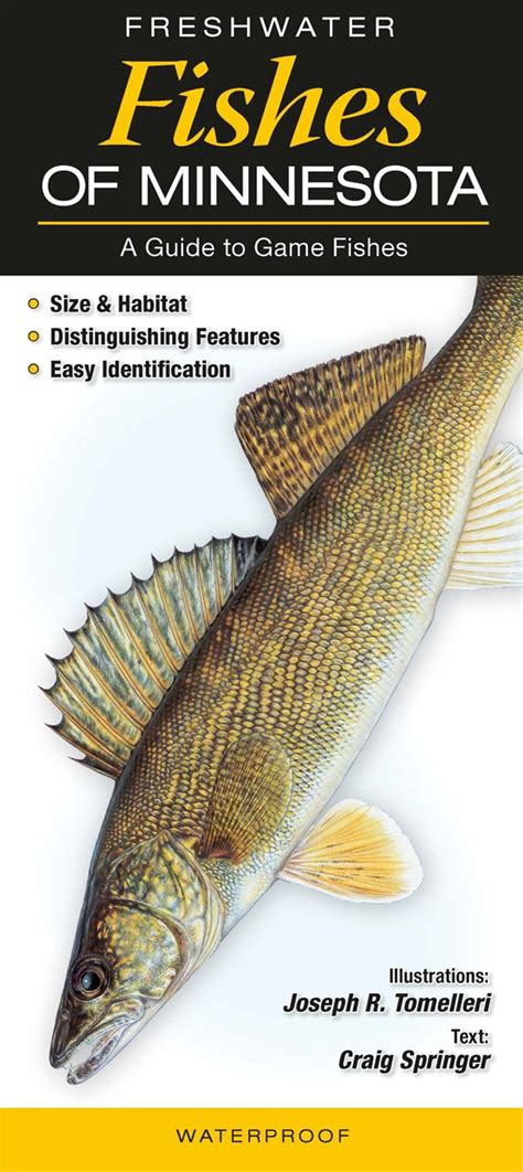 Buy Freshwater Fishes of Minnesota: A Guide to Game Fish Book Online at ...
