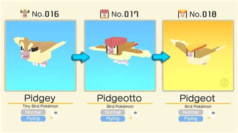 Image result for Pidgey Evolution Level