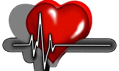 Fetal stage ideal time for diagnosis of congenital heart diseases among ...