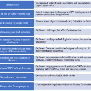 Research Paper Structure 的图像结果