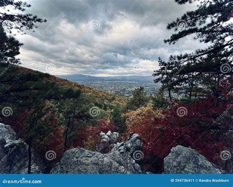 Read Mountain Preserve, Virginia Stock Image - Image of wildflower ...
