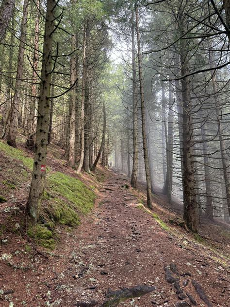 Lana+Rhoades+Gif Photos, Download The BEST Free Lana+Rhoades+Gif Stock Photos & HD Images