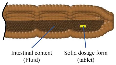 Modelling and Simulation of the Drug Release from a Solid Dosage Form ...