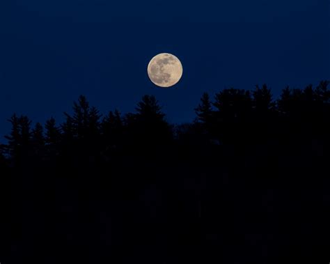 Download wallpaper 1280x1024 moon, full moon, trees, silhouettes, night ...