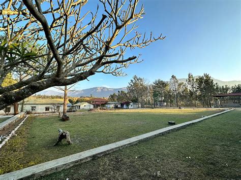 SINGARAS COFFEE COUNTRY (Masinagudi, Tamil Nadu) - Lodge Reviews ...