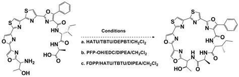 Solid Phase versus Solution Phase Synthesis of Heterocyclic Macrocycles
