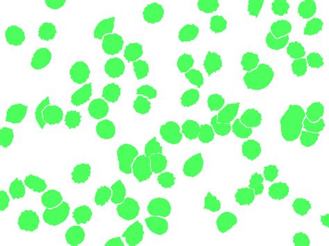 BBBC041Seg - Dataset Ninja