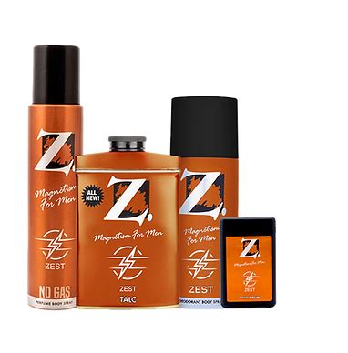 Our Products | Z Magnetism 1