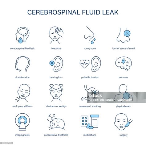 Cerebrospinal Fluid Leak Symptoms Diagnostic And Treatment Vector Icon Set Medical Icons Stock ...