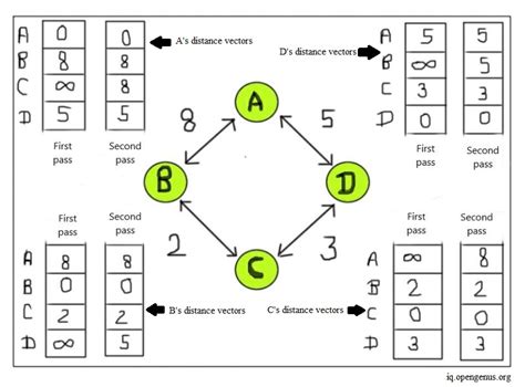 Network Distance Vector 的图像结果