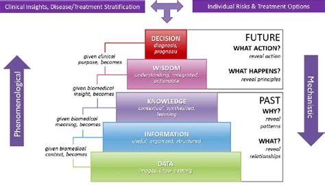 Data Information Knowledge Wisdom Model 的图像结果