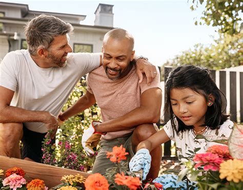 Image result for CSAA Insurance Add