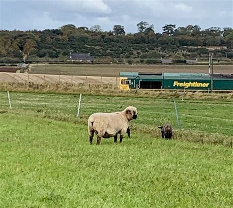 THE BRAND FAMILY, EAST FORTUNE FARM (North Berwick, Scotland ...