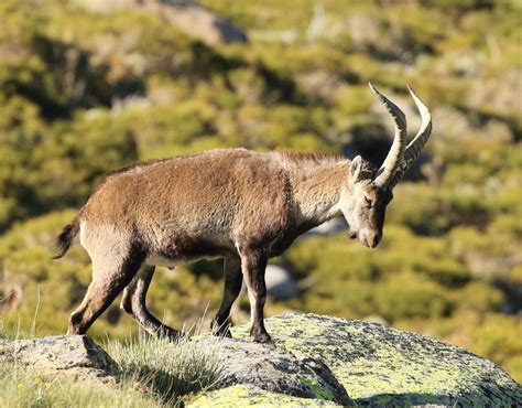 Eco Tours - Delaware Nature Society