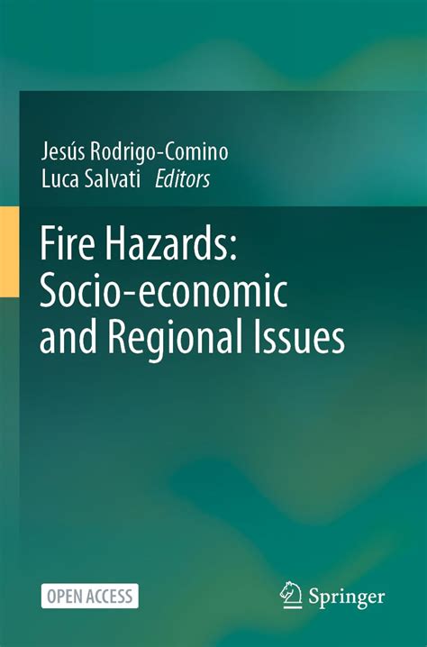 Buy Fire Hazards: Socio-Economic and Regional Issues Book Online at Low ...
