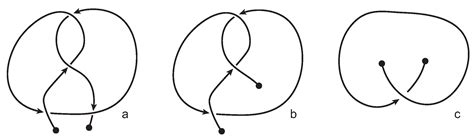 Topological Models for Open-Knotted Protein Chains Using the Concepts ...