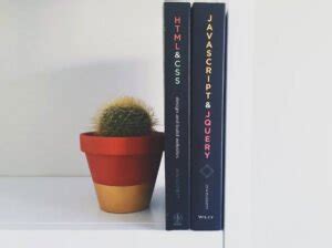 Image result for JavaScript Animation Libraries