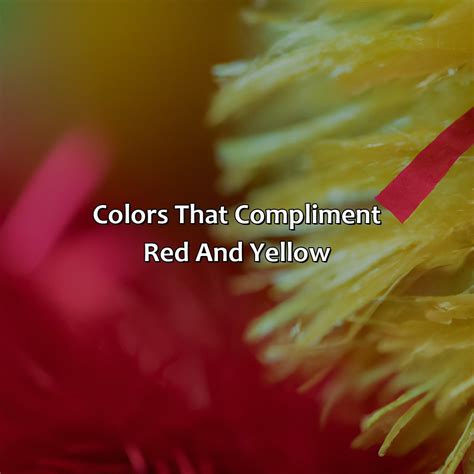 What Colors Go With Red And Yellow - colorscombo.com