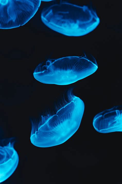 Image result for Type 4 Civilization