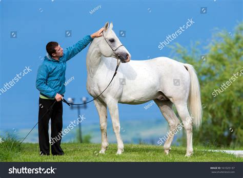 Young Man Horse Handsome Stock Photo 161025137 | Shutterstock