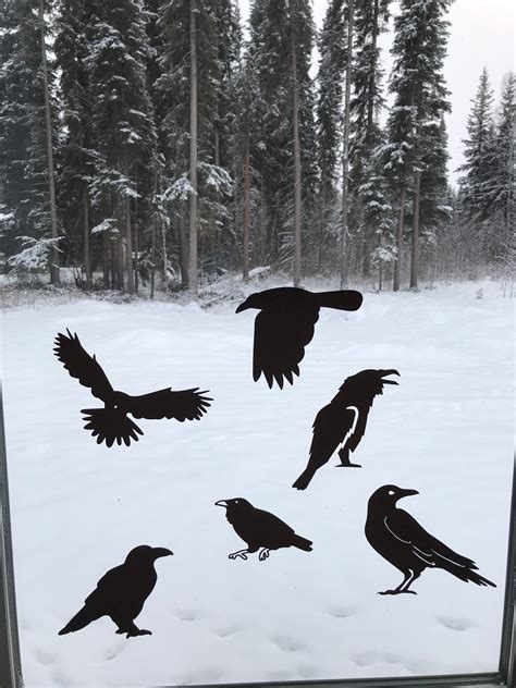 How to make diy anti collision window decals for birds – Artofit