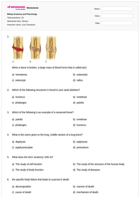 50+ Anatomy and Physiology worksheets for Class 12 on Wayground | Free ...