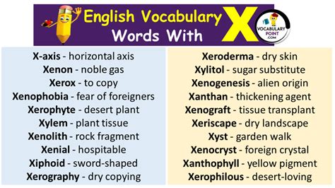 Words Start with X (Positive & Negative) - Vocabulary Point