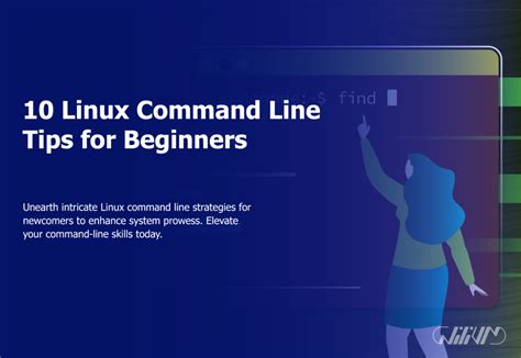 Command Line Tutorial 的图像结果