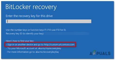Image result for BitLocker Recovery Options