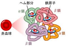 Image result for Routing Algorithm in MATLAB