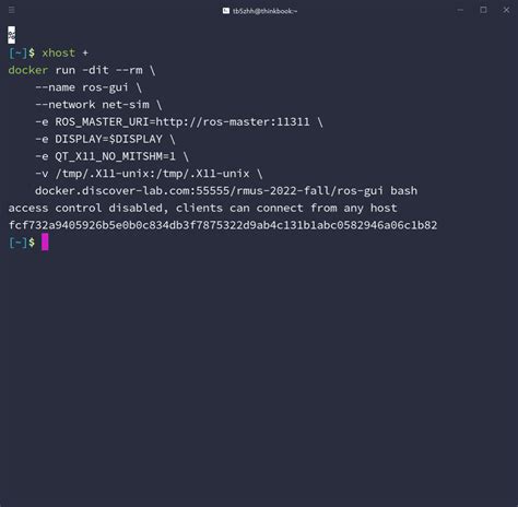 Vehicle Sim GUI 的图像结果