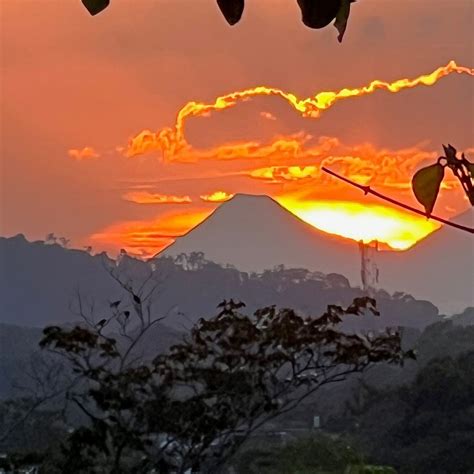 @ELSALVADORBIRDS - JULIO ACOSTA (2025) All You Need to Know BEFORE You ...