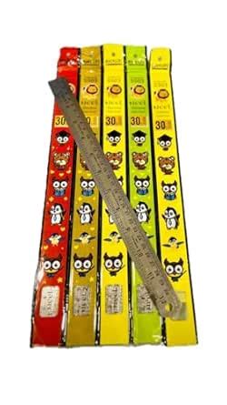 stainless scale 5 Piece Stainless Steel Ruler 12 Inch / 30 cm Straight ...