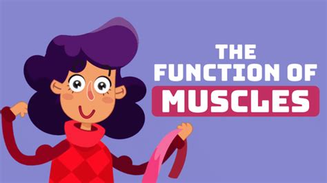 Image result for How Muscles Work Video