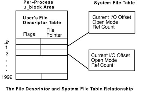 File Descriptor Linux 的图像结果