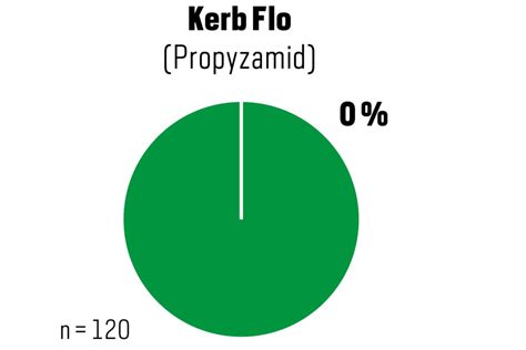 Trespen breiten sich aus: Das können Sie gegen das Ungras tun ...