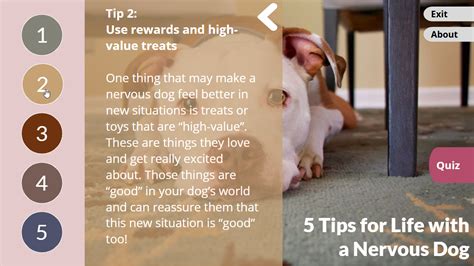 Image result for Interactive Flow Chart Storyline