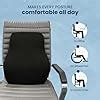 Sleepsia Lumbar Support Memory Foam Orthopedic Back Cushion – Back Rest ...
