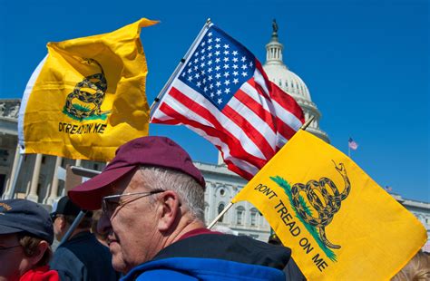 Where are those ‘Don’t Tread on Me’ flags now? - Roll Call