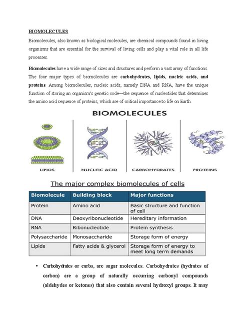 BIOL101: Comprehensive Overview of Biomolecules and Their Functions ...