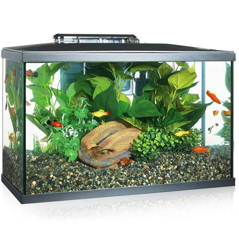 10 Gallon Home Aquariums