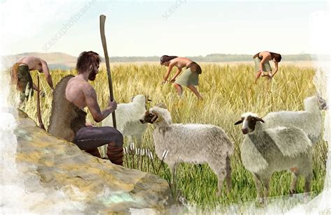 Neolithic Farming 的图像结果