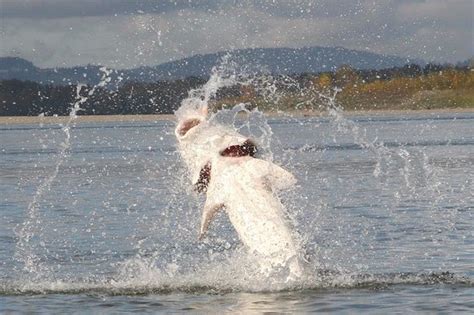 Great River Fishing Adventures (Chilliwack) - 2022 What to Know Before ...