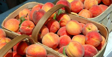 11 Manfaat Buah Persik atau Peach, 'Si Manis-Lembut' Berkhasiat